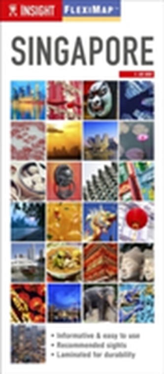 Insight Guides Flexi Map Singapore