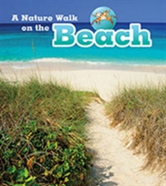 A Nature Walk on the Beach