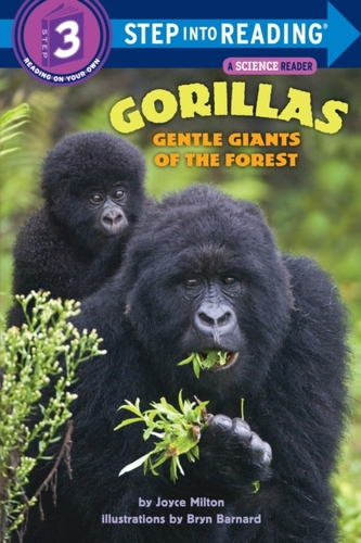Gorillas, Gentle Giants Of The Forest