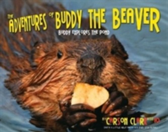 The Adventures of Buddy the Beaver: Buddy Explores the Pond