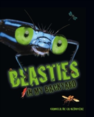 Beasties in my Backyard