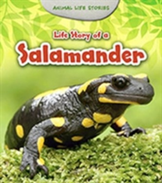 Life Story of a Salamander