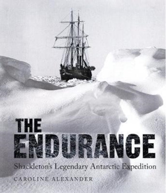 The Endurance The Endurance