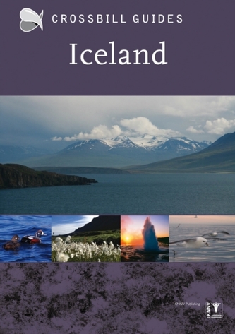 Iceland Iceland