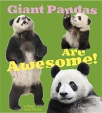 Giant Pandas Are Awesome! Giant Pandas Are Awesome!