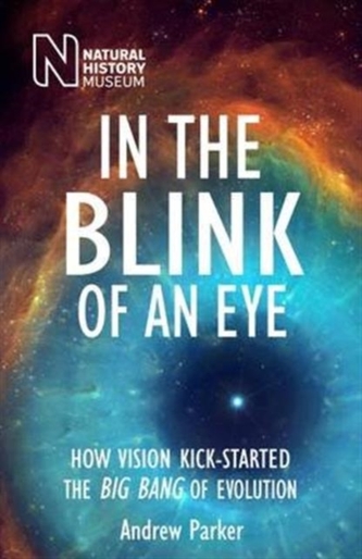 In the Blink of an Eye In the Blink of an Eye