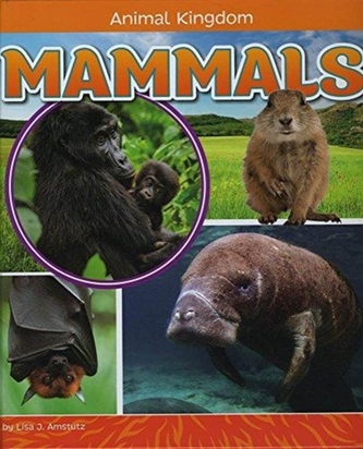 Mammals Mammals