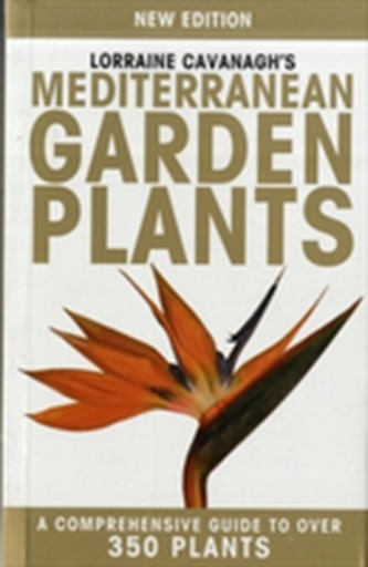 Lorraine Cavanagh's Mediterranean Garden Plants