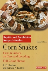 Corn Snakes