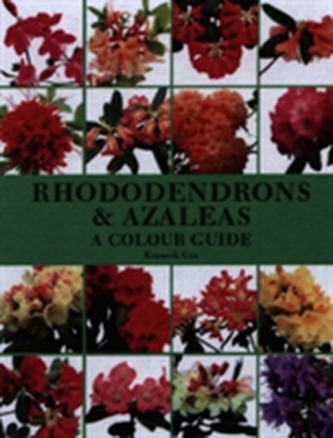 Rhododendrons and Azaleas