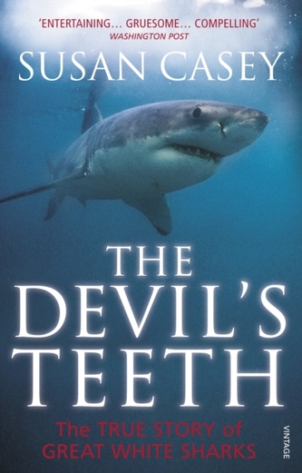 The Devil's Teeth