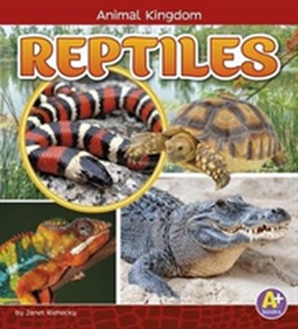 Reptiles Reptiles