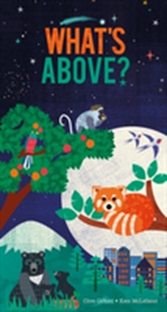 What's Above? What's Above?