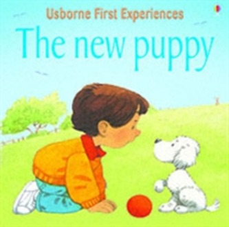 Usborne First Experiences The New Puppy