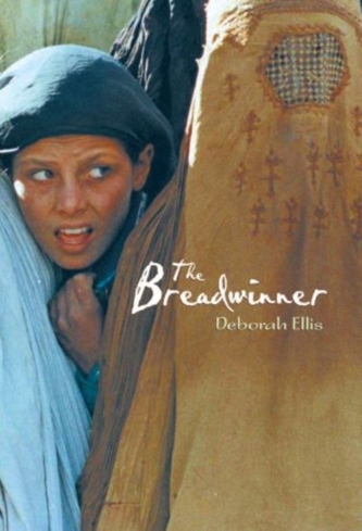 Rollercoasters: Breadwinner Reader