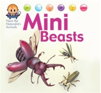 Nora the Naturalist's Animals: Minibeasts