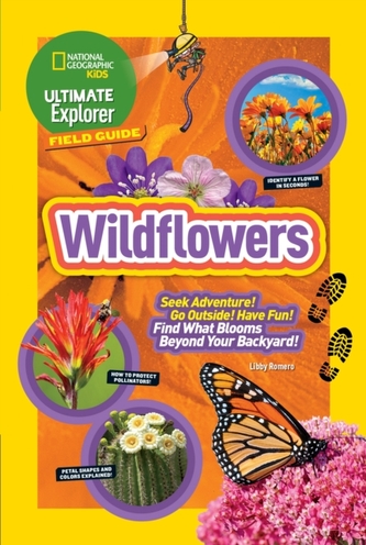 Ultimate Explorer Field Guide: Insects