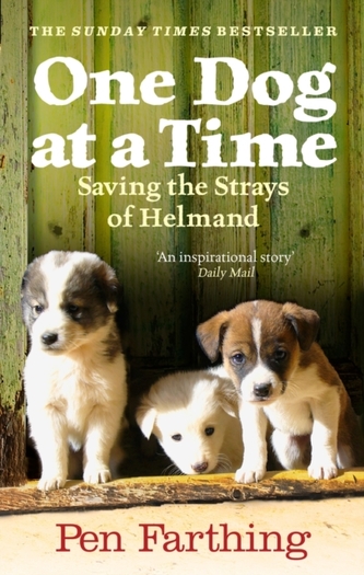 One Dog at a Time One Dog at a Time