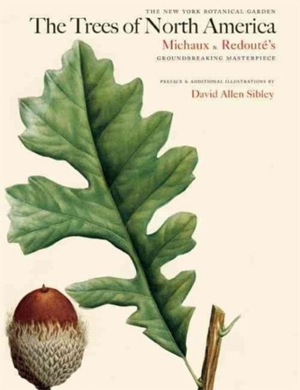 The Trees of North America