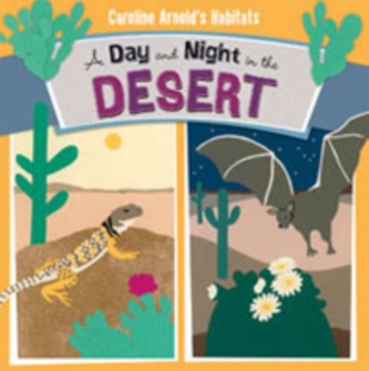 A Day and Night in the Sonoran Desert