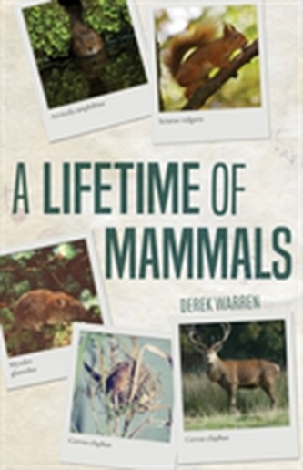 A Lifetime of Mammals A Lifetime of Mammals