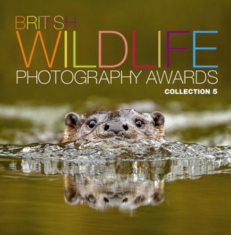 British Wildlife Photography Awards: Collection 5