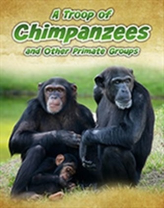 A Troop of Chimpanzees