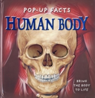 Pop-up Facts: Human Body Pop-up Facts: Human Body