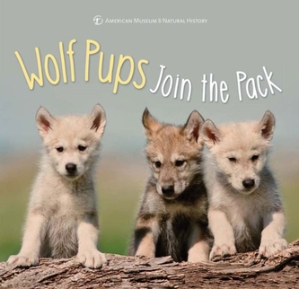 Wolf Pups Join the Pack Wolf Pups Join the Pack