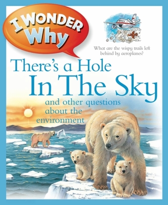 I Wonder Why There's a Hole in the Sky