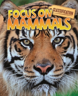 Classification: Focus on: Mammals Classification: Focus on: Mammals