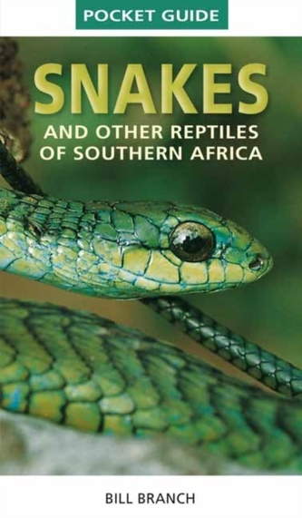 Snakes and Reptiles of Southern Africa