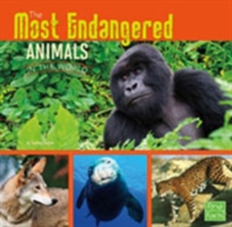 The Most Endangered Animals in the World