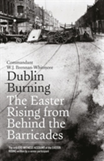 Dublin Burning
