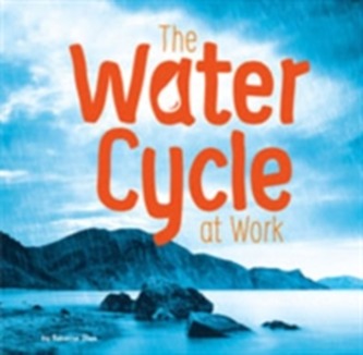 The Water Cycle at Work