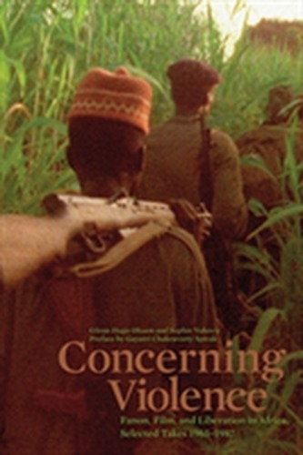 Concerning Violence