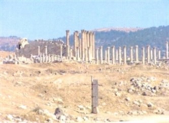 Urban Development & Regional Identity in the Eastern Roman Provinces, 50 BC-AD 250