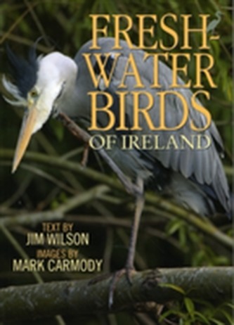 Freshwater Birds of Ireland