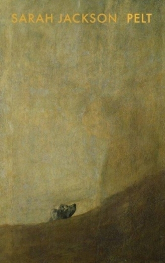 Pelt