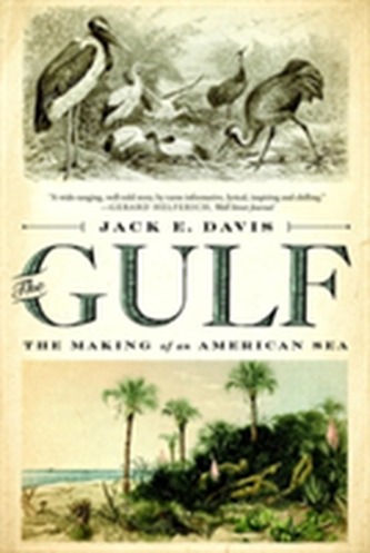 The Gulf