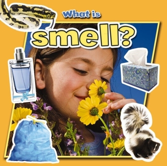 What is Smell?