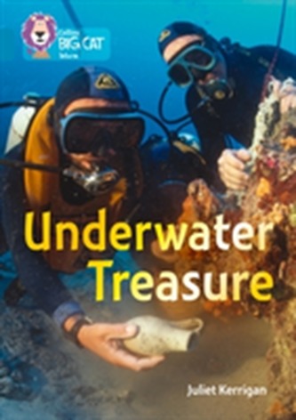 Underwater Treasure Underwater Treasure