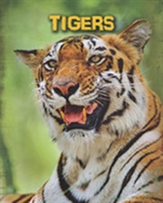 Tigers