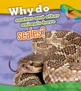 Why Do Snakes and Other Animals Have Scales?