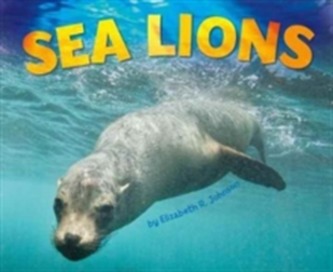 Sea Lions Sea Lions