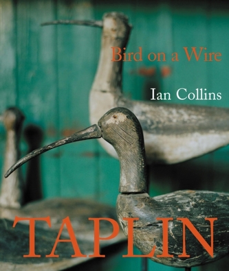 Taplin Bird on a Wire