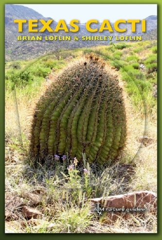 Texas Cacti