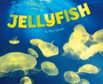 Jellyfish