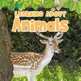 Learning About Animals Learning About Animals