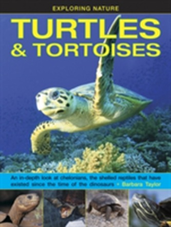 Exploring Nature: Turtles & Tortoises Exploring Nature: Turtles & Tortoises